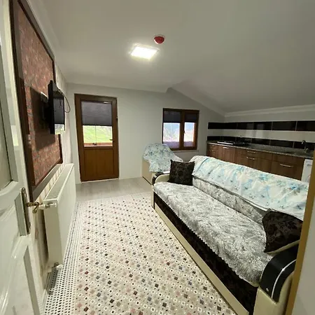 Oezkan Apartment *